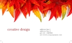 arts&photography-business-card-15-november